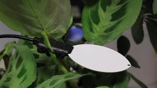 Leaf Wetness Sensor [upl. by Haizek]