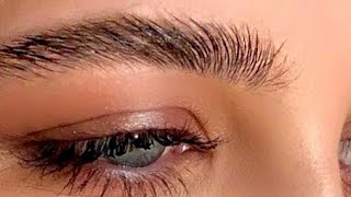 DIY HOW TO GROW THICKER EYEBROWS  NATURALLY  FAST  My Secret Ingredient Tutorial 100 Works [upl. by Ydneh]