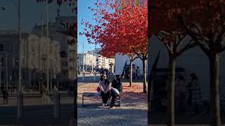 AUTUMN IN SWEDEN🇸🇪  GOTHENBURG 2024 vlog 45 sweden friends autumn2024 [upl. by Larine]