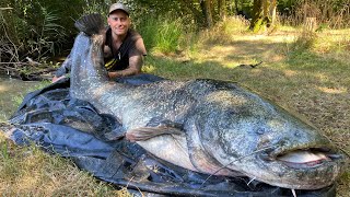 💣big catfish💣Big mama💣Silurus Glanis💣Grand siluro💣Große Wels💣kapitále sumce💣218cm 247 cm🍾💣😊🇸🇰🇫🇷 [upl. by Aivatahs240]