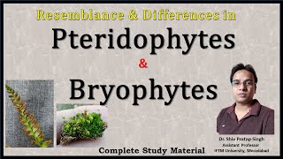 Resemblance and Difference between Bryophytes and Pteridophytes [upl. by Htes]