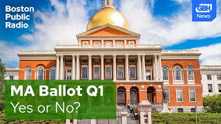 Massachusetts ballot question 1 Auditing the legislature [upl. by Adelaide]