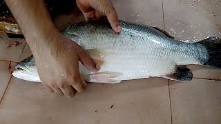 Cool Fish Cutting Master Cut Big Barramundi Fish  Coral Fish Processing [upl. by Raddie866]