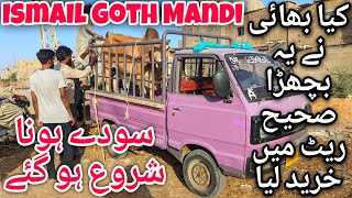 Ismail Goth Mandi Karachi Cattle Latest Rates Update 19May2024  Cow Mandi 2024 [upl. by Aivatahs]