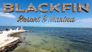 BLACKFIN Resort amp Marina in Marathon FL Keys Grassy Key Sandbar Short Version Video [upl. by Clari437]