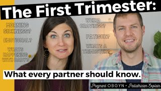 The First Trimester of Pregnancy What Every Partner Needs to Know  Symptoms Changes Baby Growth [upl. by Zondra]