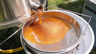 Harvesting BUCKETS of Honey 95 Pounds [upl. by Atiuqram]