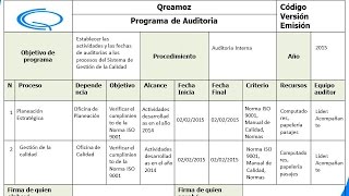 Programa de Auditoria  Guía completa [upl. by Pickar]