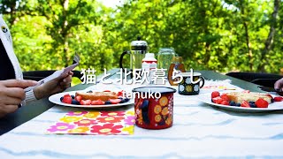 北欧の森のコテージで暮らす穏やかな休日 🌿 小さなお城の雑貨屋さんとカフェ巡り A relaxing holiday spent at a cottage in the Nordic forest [upl. by Nyllewell]