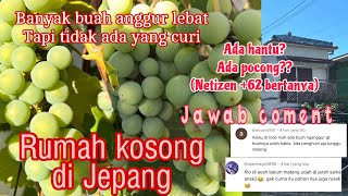 BUAH ANGGUR LEBAT DI RUMAH KOSONG JEPANG [upl. by Hijoung]