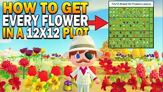 How To Get EVERY Hybrid Flower In A 12x12 Area Datamined Animal Crossing New Horizons Flower Guide [upl. by Aikam]