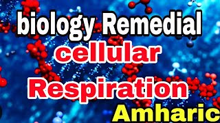 🔴Remedial BiologyCellular RespirationChapter three for remedial students part 6Ethiopia [upl. by Llenaj552]