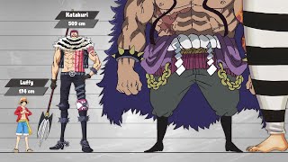 One Piece Size Comparison PostTimeskipPart2 [upl. by Obeded]