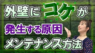 【北側の外壁要注意！】外壁にコケが生える原因とメンテナンス方法｜カビとコケ（苔）の違いと予防・洗浄方法までご紹介！ [upl. by Leanora]