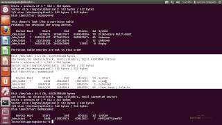 Ubuntu 1204 Forensics  Listing Disks With FDISK [upl. by Karlotta]