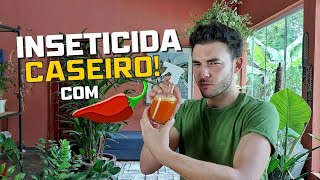 Inseticida caseiro com pimenta pimenta plantas receitacaseira [upl. by Eedyaj]