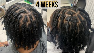 First Retwist on TwoStrand Twist Starter Locs  Talk Through  Technique  Loctician [upl. by Esinereb]