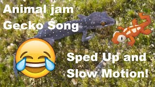 Animal jam Gecko Song Sped up and Slow Motion [upl. by Niggem946]