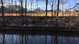 A Dance from the Nutcracker by Ed Sweeney on 5 string Banjo [upl. by Ellerd]