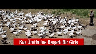 Hobi Olarak Başladı Şimdi Taleplere Yetişemiyor [upl. by Trebmal263]