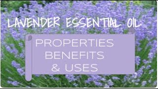 Lavender Essential Oil  Benefits amp Uses [upl. by Asilav]