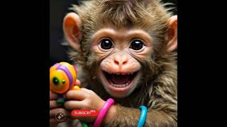 Queen monkey baby🤧😜virelshorts funny comedyfilms comedy comedymovies music song virelshort [upl. by Mccreary]