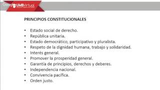 Principios constitucionales [upl. by Ahtnams635]