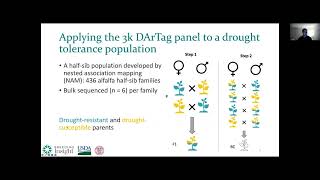 Development of a middensity genotyping platform for alfalfa [upl. by Yokoyama]