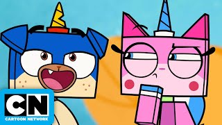 unicute catlover unicon cute unikitty cat meow pets cutecat funny [upl. by Adriana]