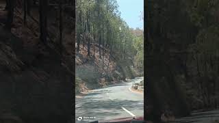 Mileya mileya music song bollywood love trending himachaliswag travel mandir himachaldiary [upl. by Rekoob791]