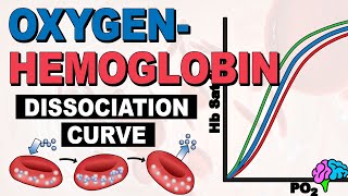 The Oxygen Hemoglobin Dissociation Curve EXPLAINED [upl. by Cranford]