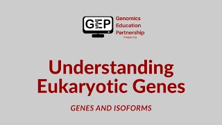 UEG  Genes and Isoforms [upl. by Boylan]