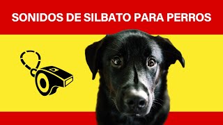 Sonidos de silbato para perros [upl. by Ashton]