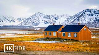 Svalbard Life at the EDGE of the World  A Remote Arctic Island with 3000 People and Polar Bears [upl. by Biron448]