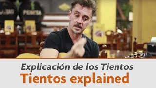 Tientos explained  Paco Serrano [upl. by Harmonie]