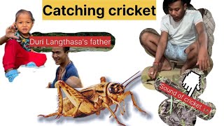 Catching cricket 🦗 at the village  Cricket farming  Village Life  Food vlog [upl. by Tildi486]