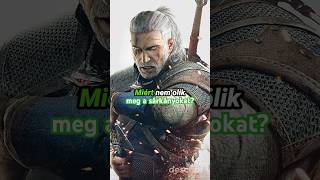 The Witcher 🐺  Miért nem ölik meg a vajákok a sárkányokat witcher geralt geraltofrivia dragon [upl. by Rodmun]