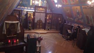 Ellwood City Chapel  Matins and Divine Liturgy  Fr Sochka [upl. by Dnomsed774]