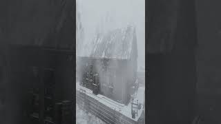 HEAVY BLIZZARD amp Howling Wind Sounds for Sleeping Snowstorm Ambience Howling Wind amp Blowing Snow [upl. by Weyermann]