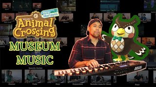 Museum Music  Animal Crossing New Horizons Cover [upl. by Gabriellia]