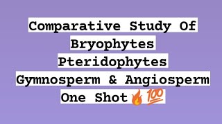 Comparative Study Of Bryophytes Pteridophytes Gymnosperm amp Angiosperms  Plant Kingdom [upl. by Enilram83]