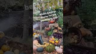 RHS Wisley Gardens Halloween display [upl. by Kinnie]