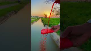 iPhone water pack test with stings 😯😱8ksubscriber experimnts viralvideoshorts iphonewatertest [upl. by Nioe676]