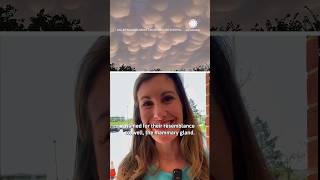 What are Mammatus Clouds [upl. by Calabresi27]