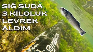 Sığ Suda Trofe Levrek Avı  Karadeniz Eylül 2024 spearfishing zıpkınlabalıkavı seabass [upl. by Ecirtaeb566]