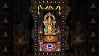 murugan murugansongs murugantemple verivelmurugankuarogara muruga balasubramanyamsongs om [upl. by Hirst]