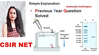 Previous Year Question  Molecular Techniques  Question Solved  CSIR UGC NET [upl. by Willock]