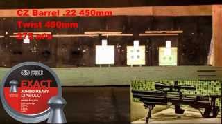 KalibrGun Cricket 22 50 meters 14 shots real time [upl. by Teplica]