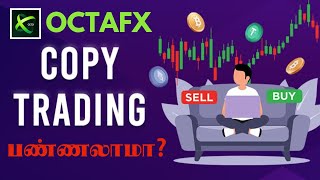 Octafx ல் Copy Trading செய்வது எப்படி  Copy Trading பண்ணலாமா❓OctafxCopyTrading Forex [upl. by Rhiamon623]