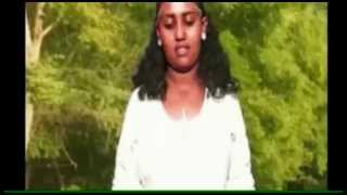 Eritrean music wata [upl. by Smailliw]